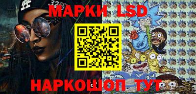 прущие грибы Кандалакша